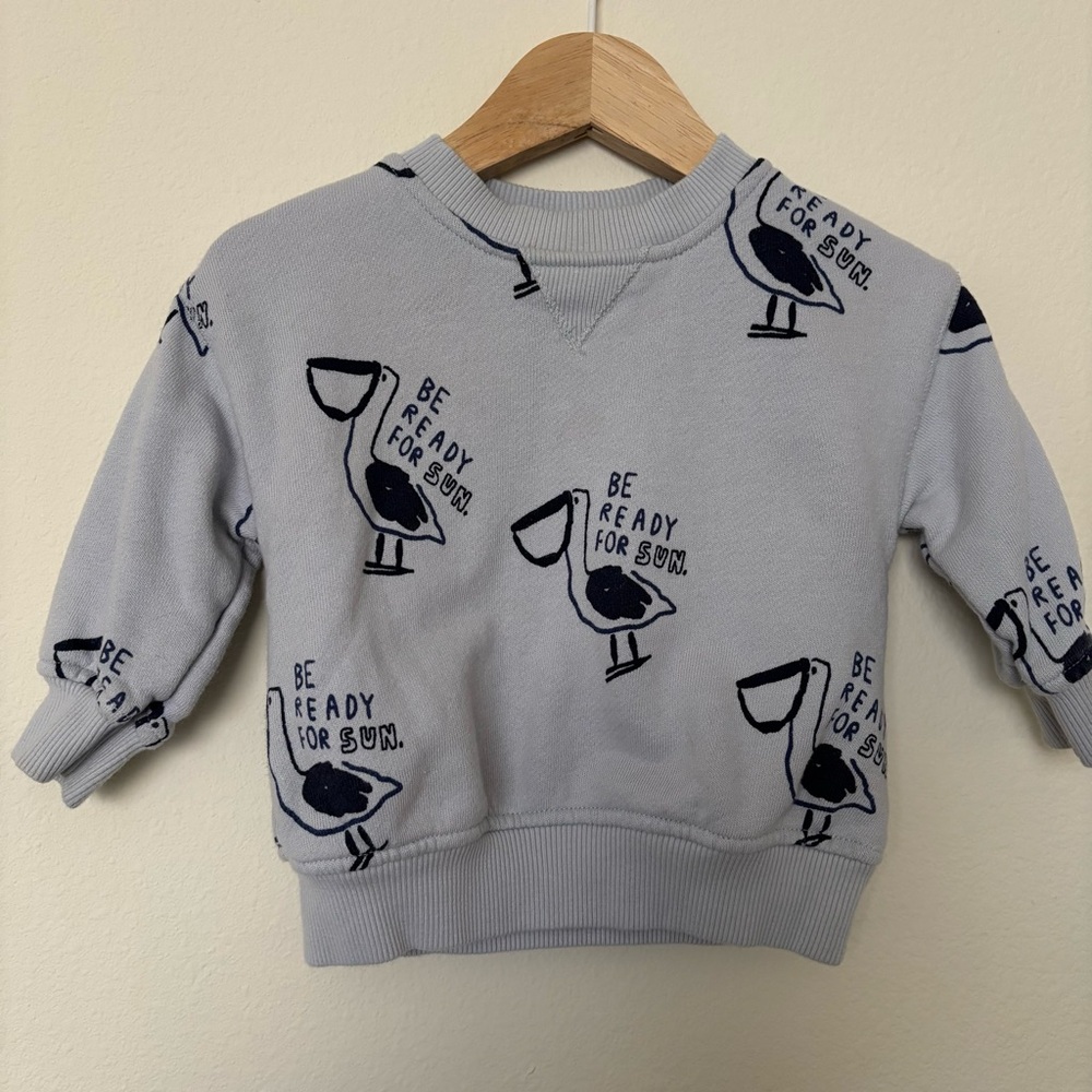 Zara Light Blue Baby Sweatshirt 6-9M